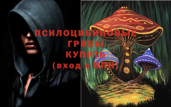 мескалин Бронницы