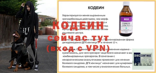 прущий лед Бородино