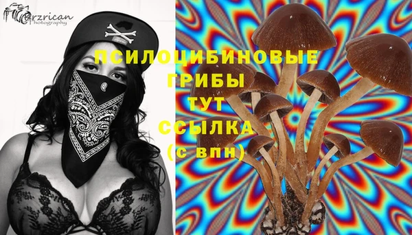 крисы Богородицк